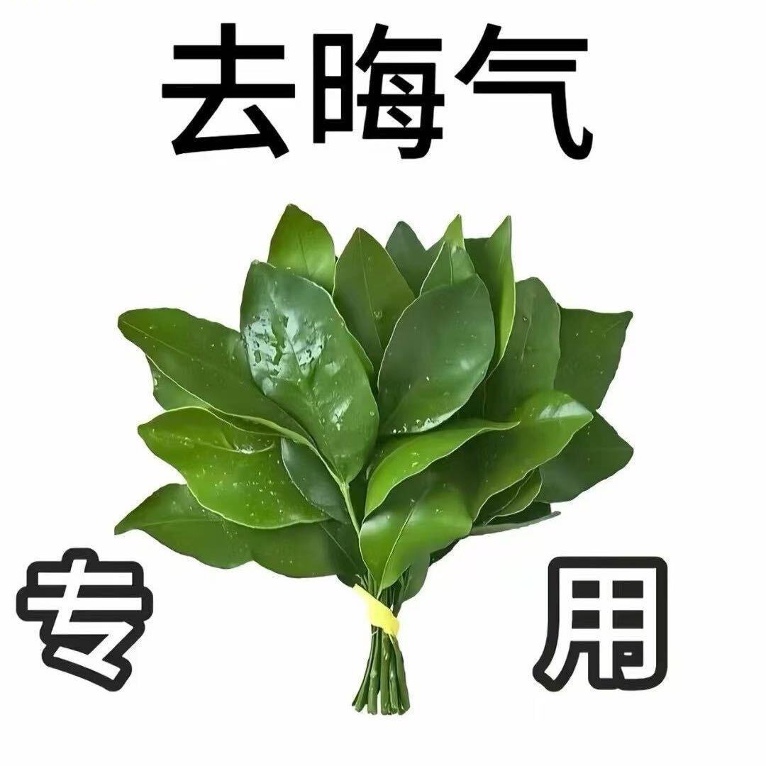 小胖崽