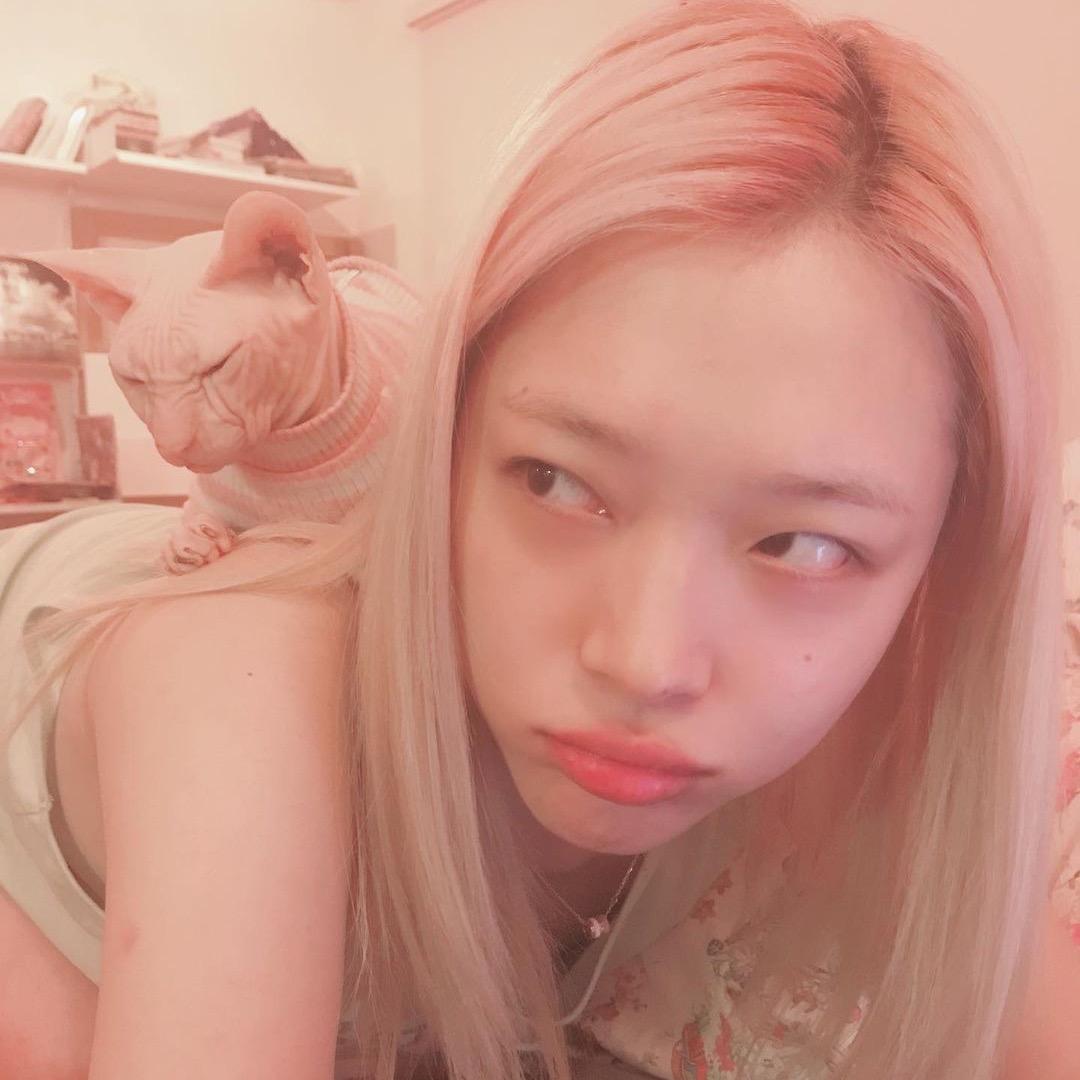 王✨✨