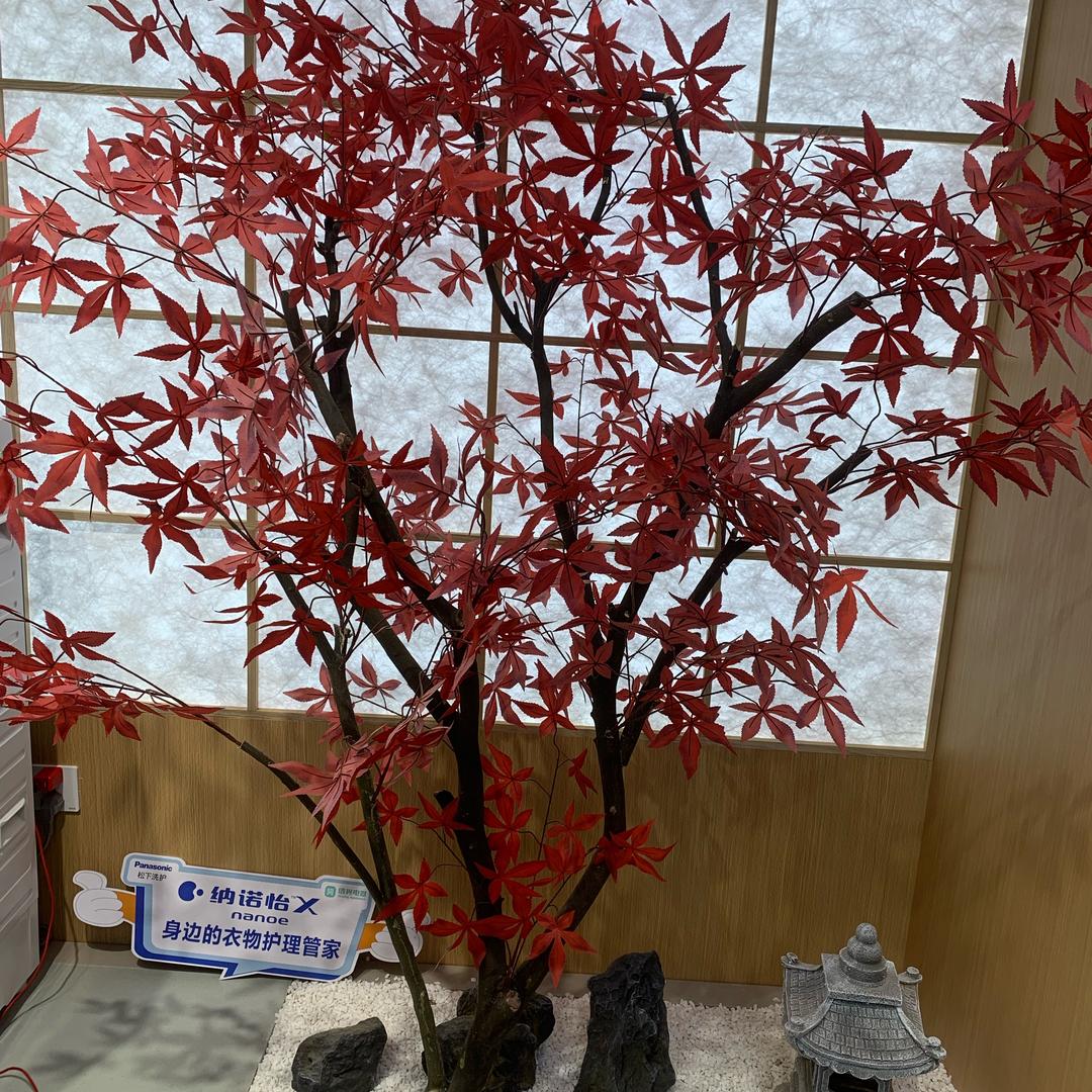 信兴新华南松下洗衣机