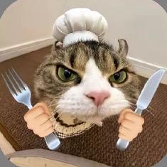 小猫美食家
