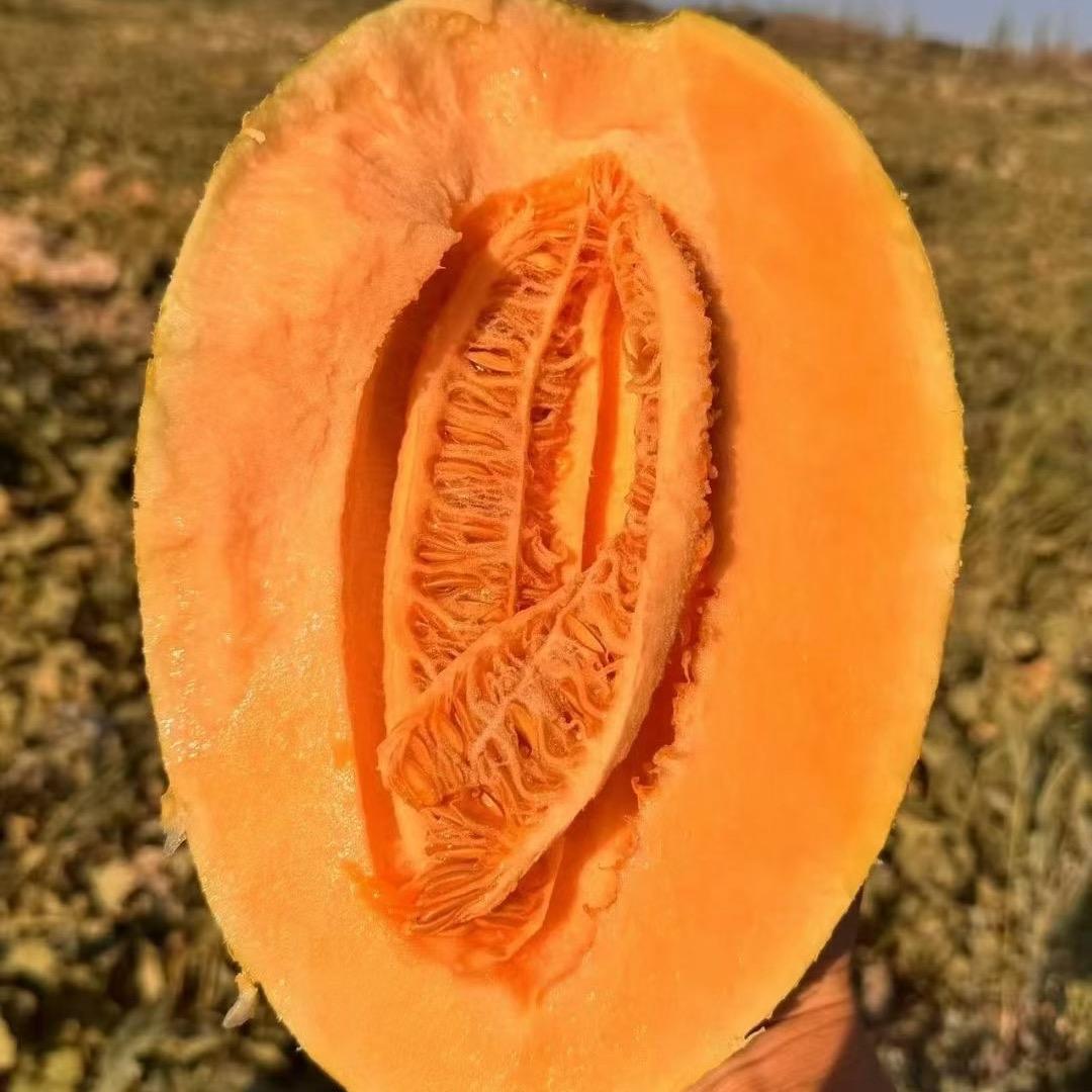 A银海哈蜜瓜山药全国代发-代办