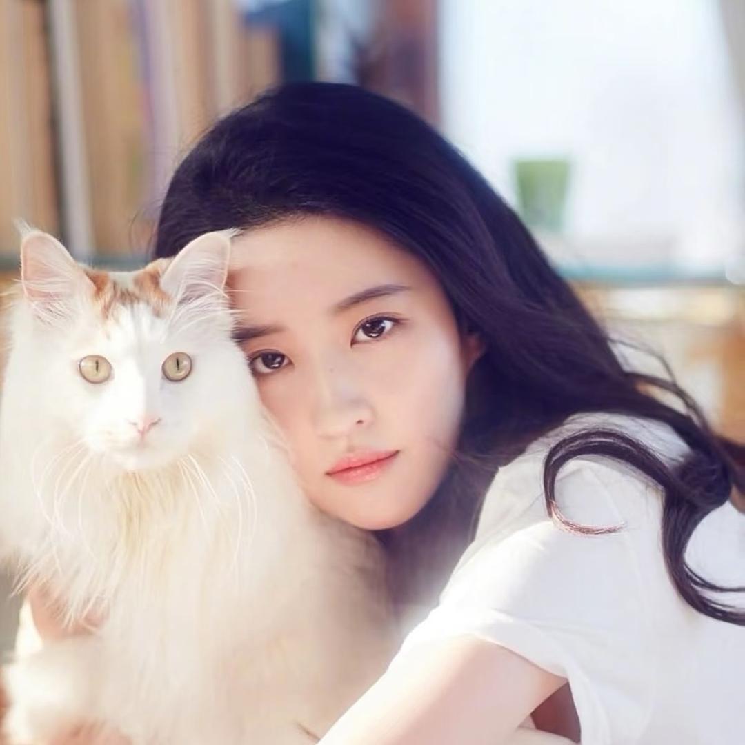 窈窈小鱼干