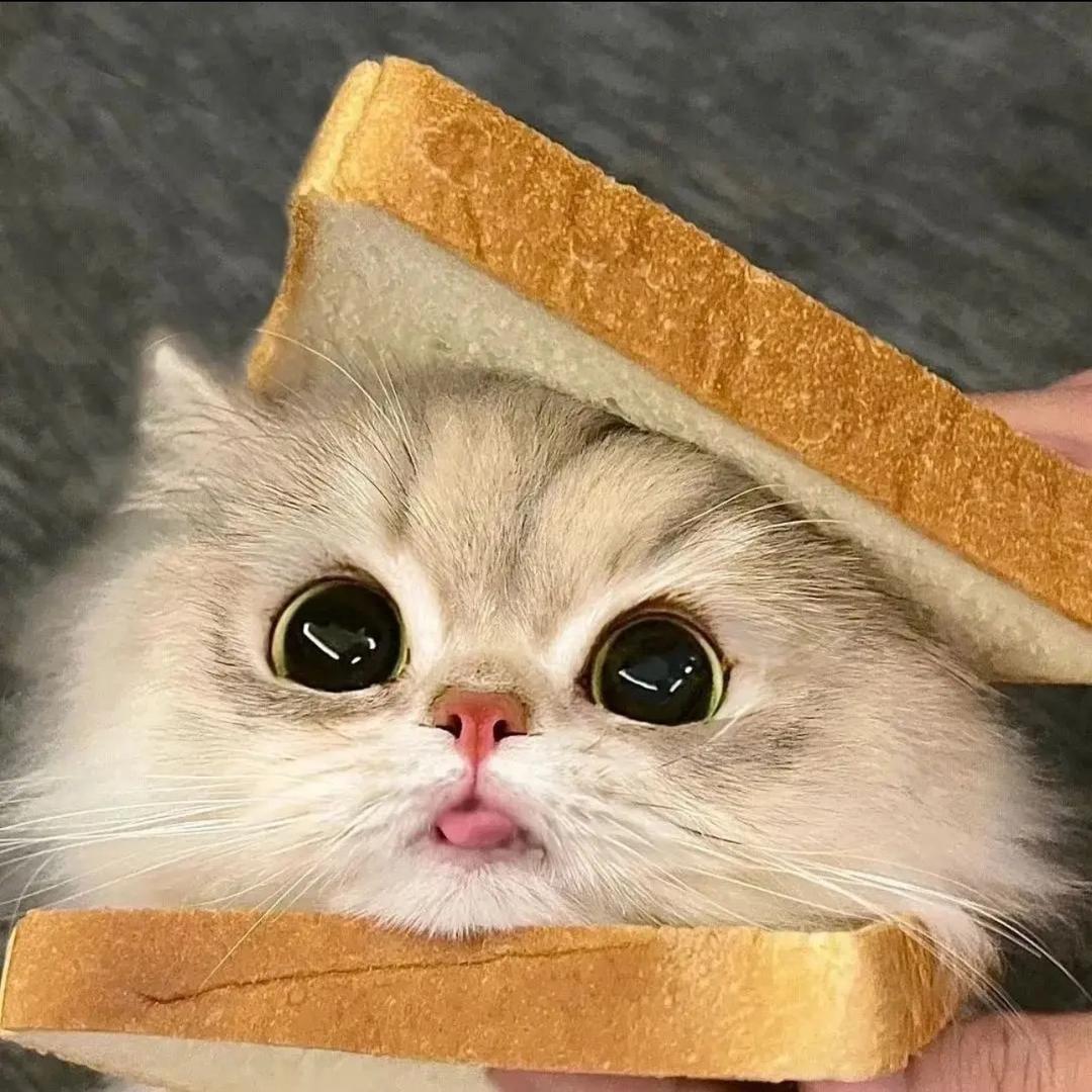 ～