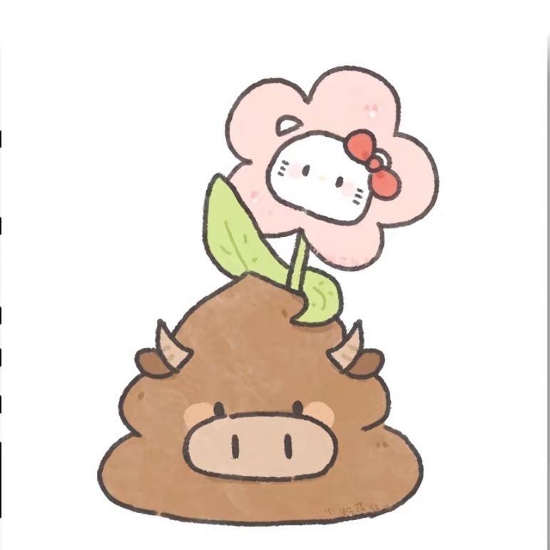 野性痞子 Zoom Zoom