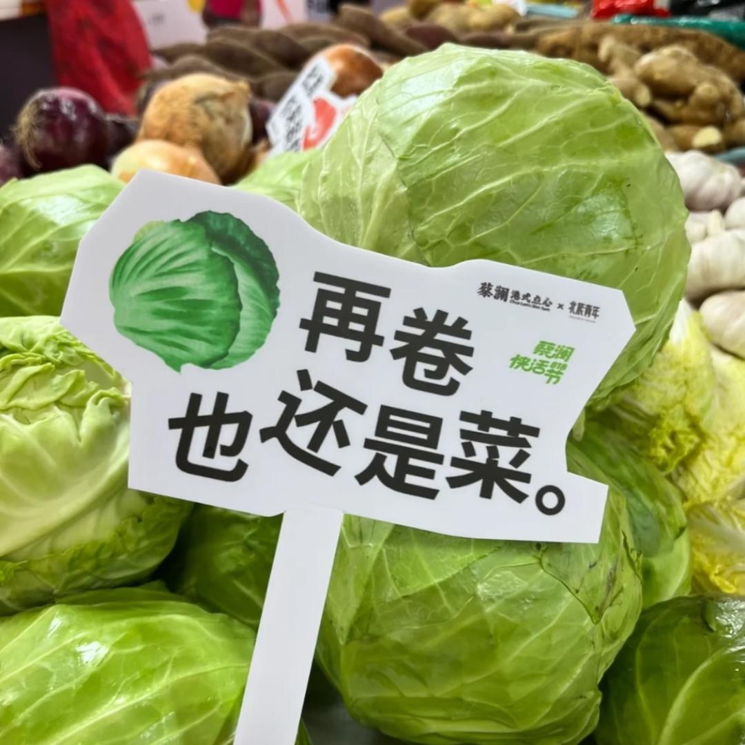 卷心菜当卷