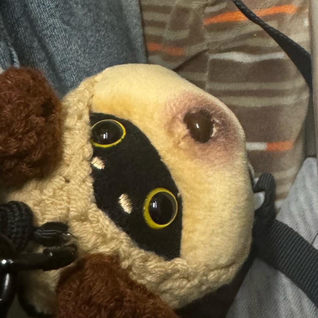 叁叁👀