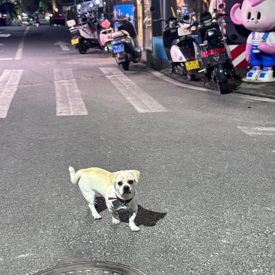 寨王