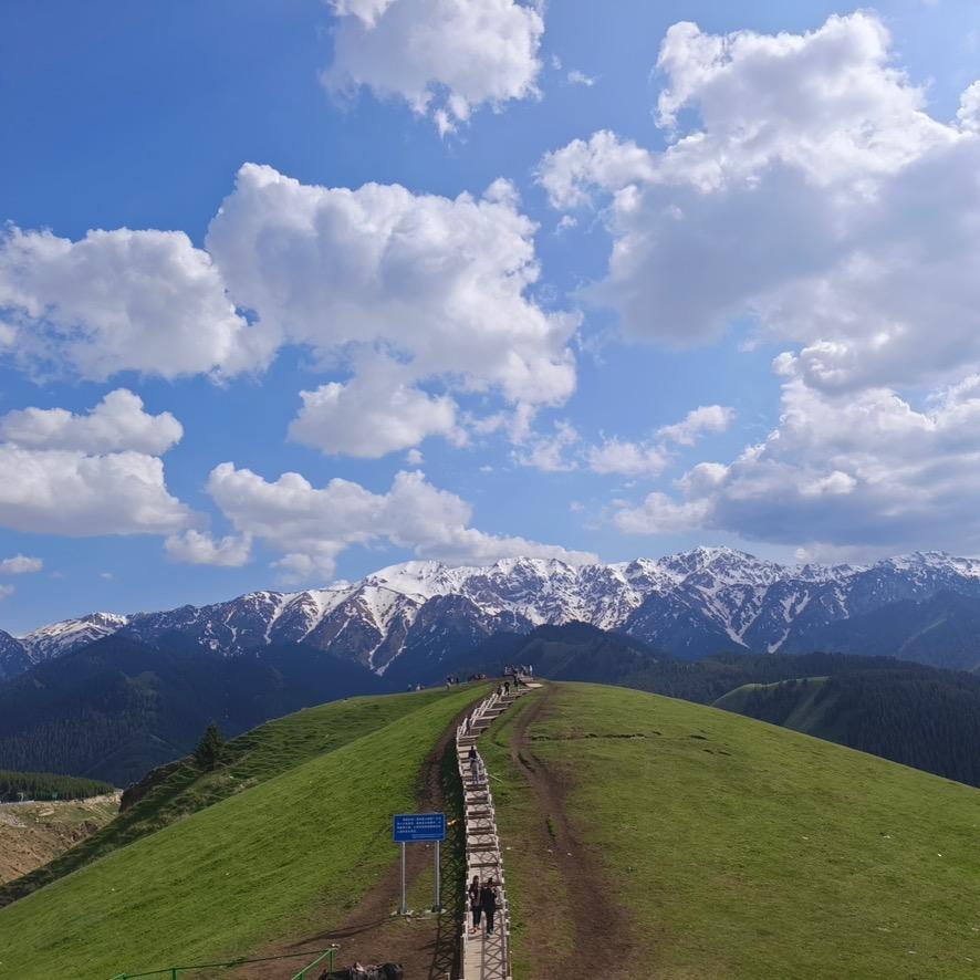 疆域风情小馬哥