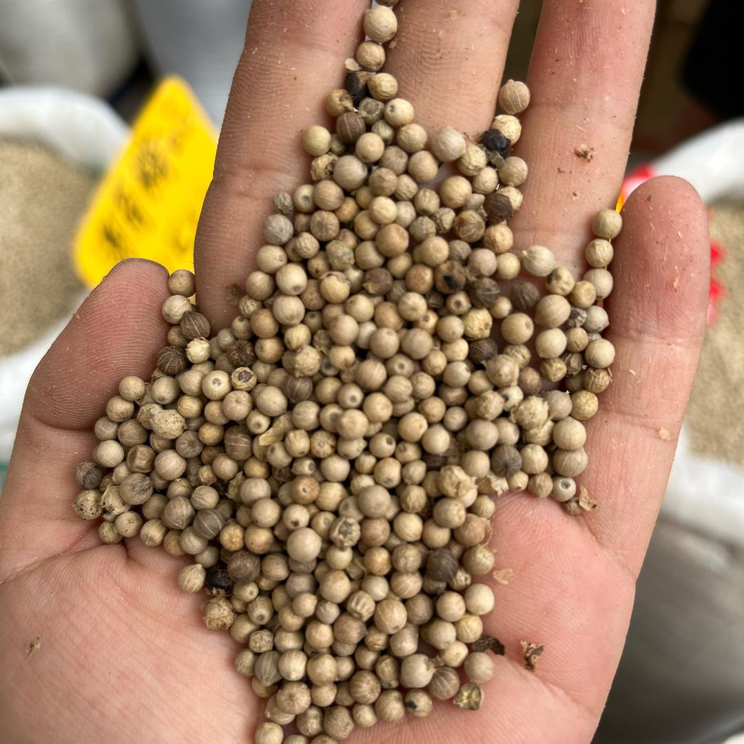 玉林百味香料批发