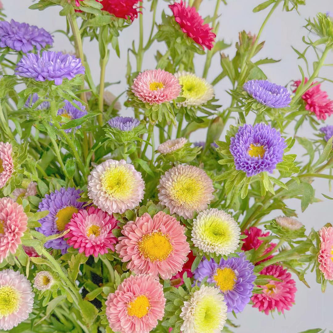 彼思花卉屋