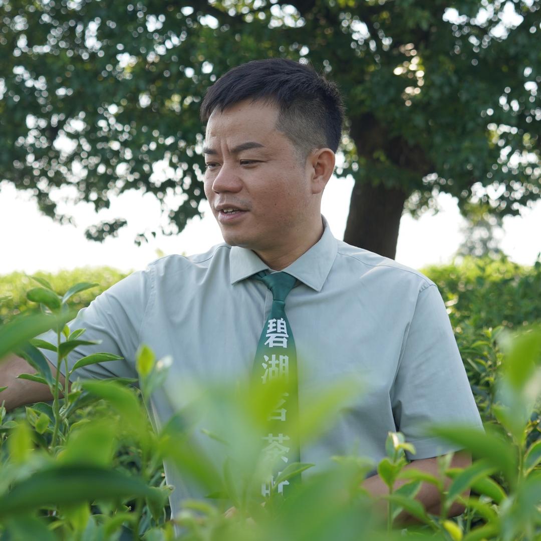 上饶碧湖茗（茶叶哥）