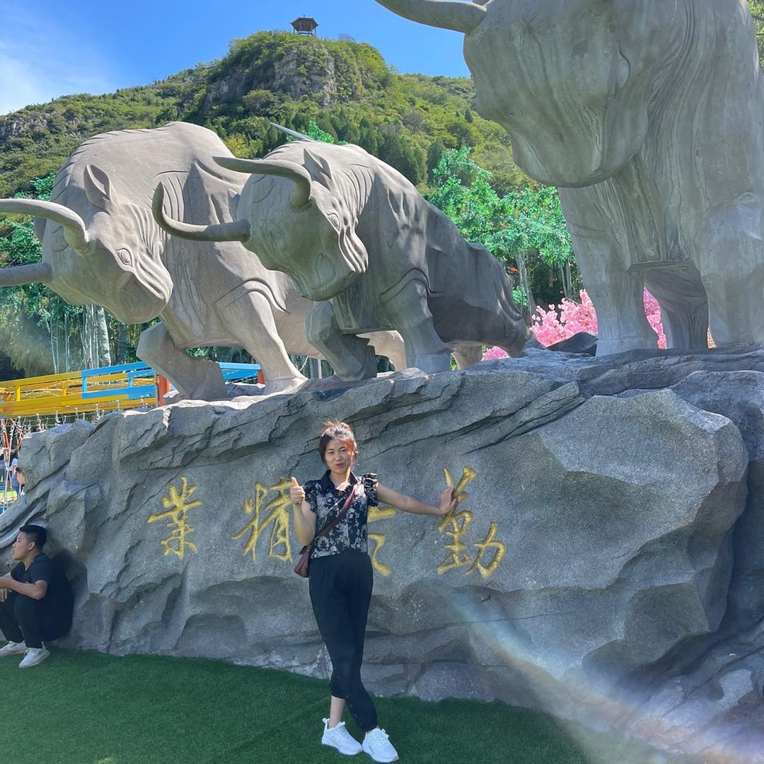 临清市百年榆家具销售店