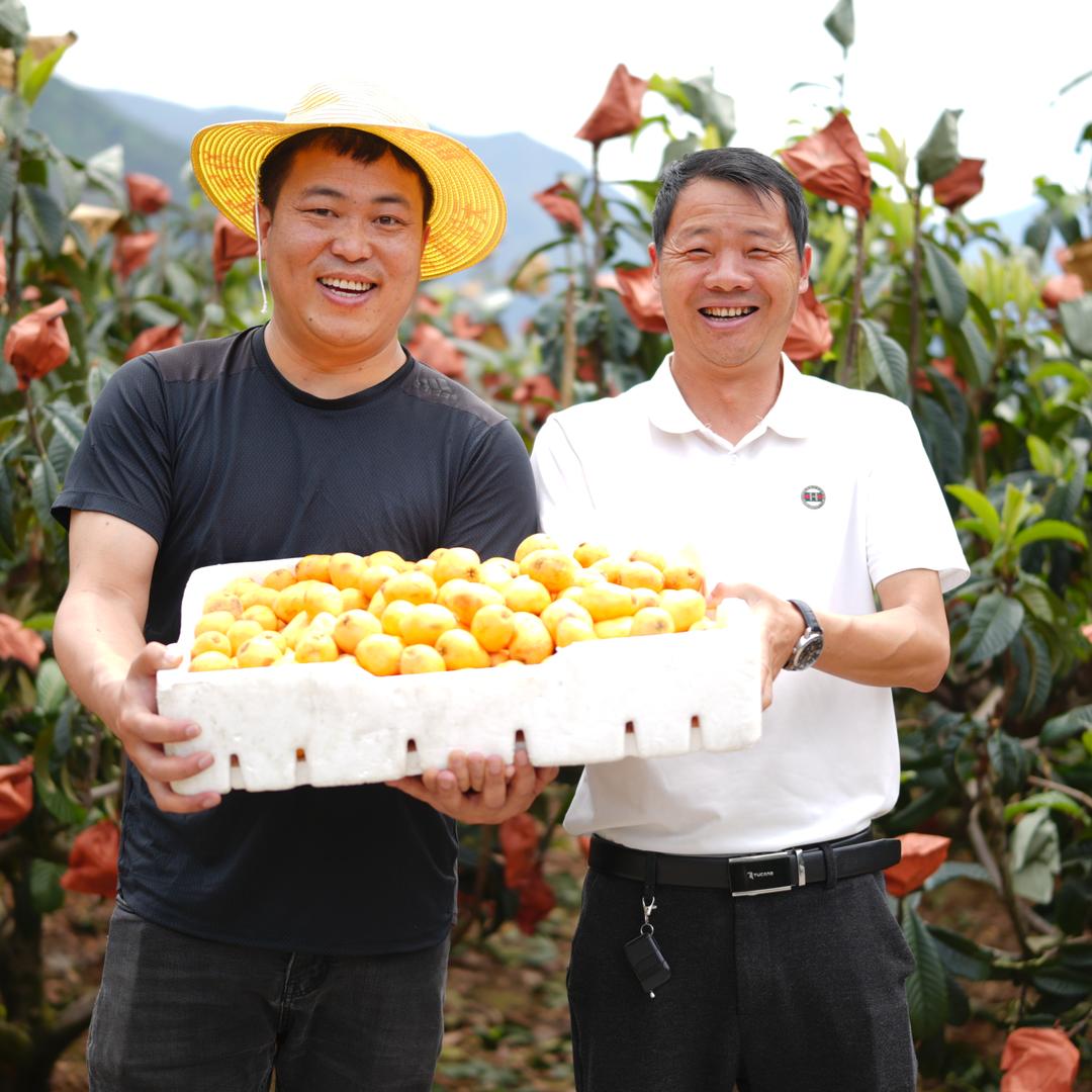 叁个果野生菌山货