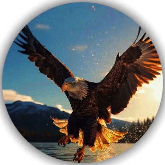🦅半雕子