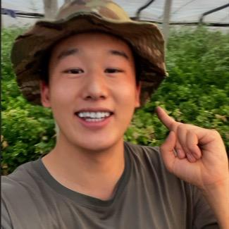 乡村实习生