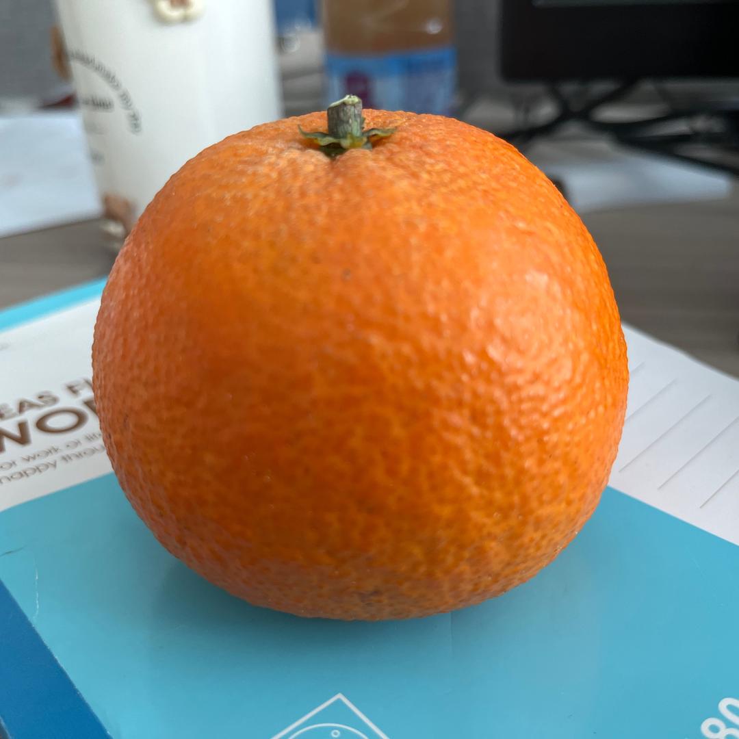 我是一颗橘子