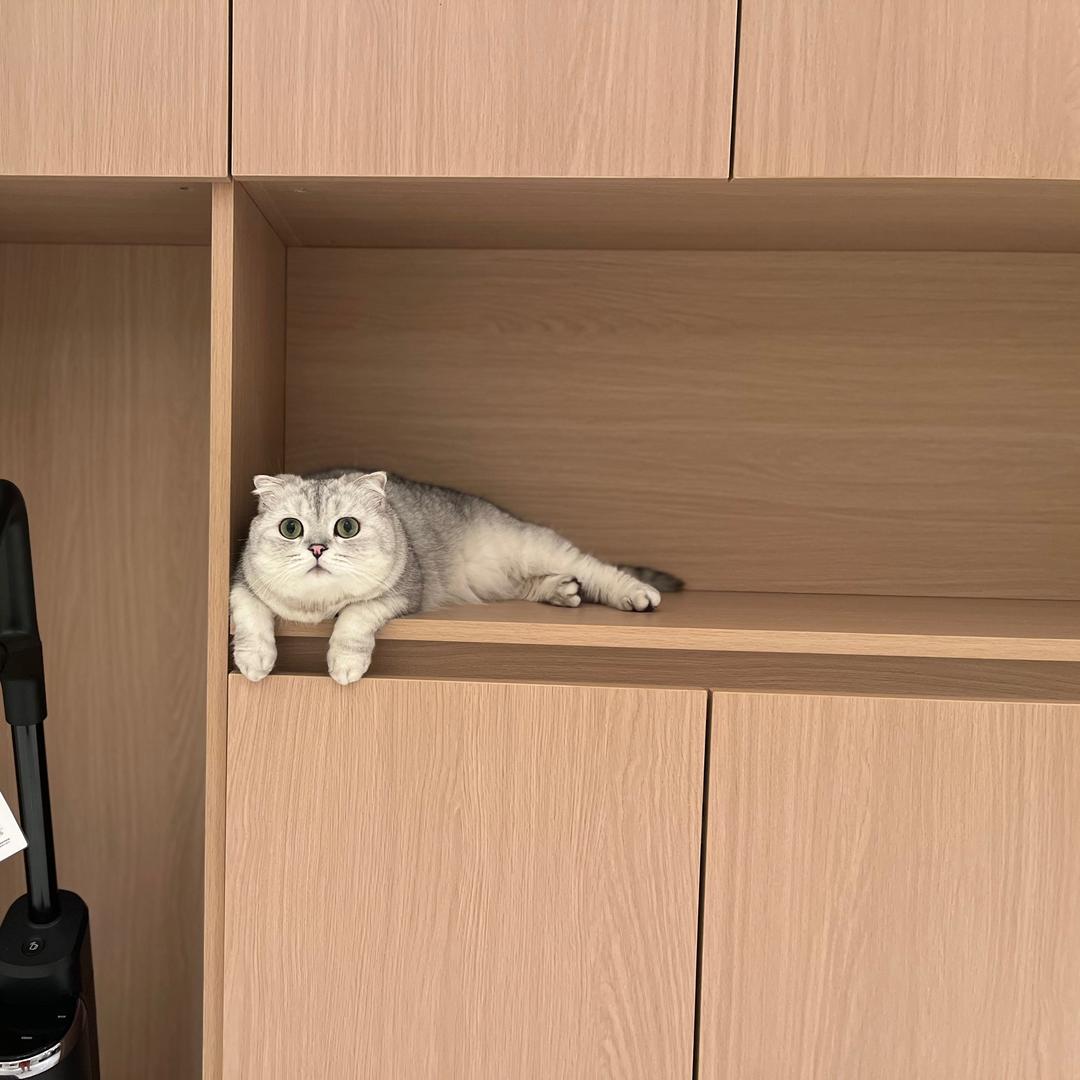 牛奶之家头像