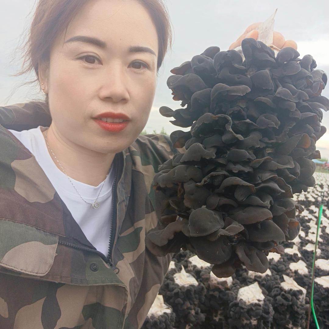 小绿东北山货