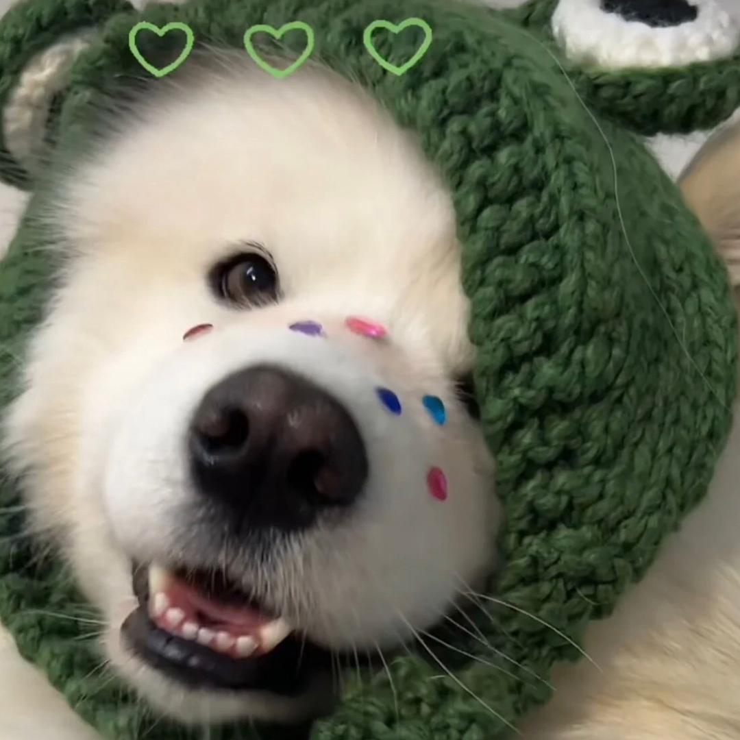 𝙕𝙕𝙯𝙯𝙯𝙯𝙤𝙞