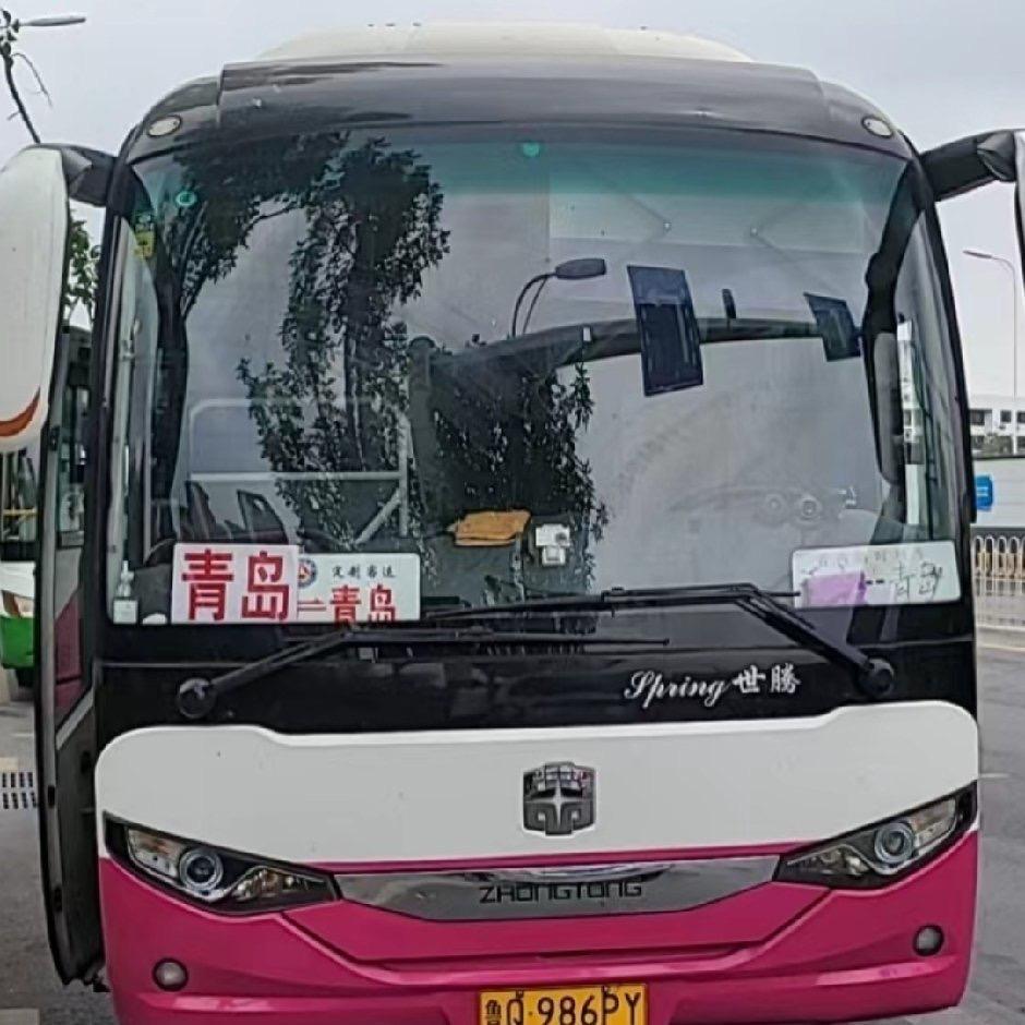 天宝——青岛