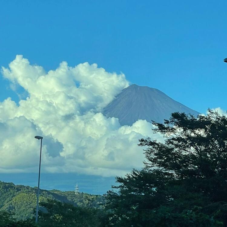 谷叔聊樱花国