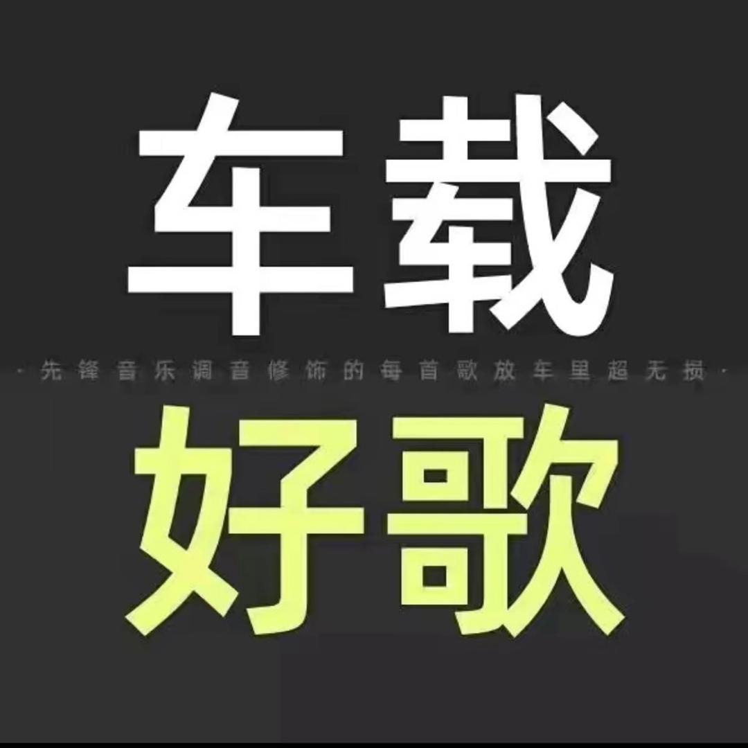 调音歌曲🎵车载优盘
