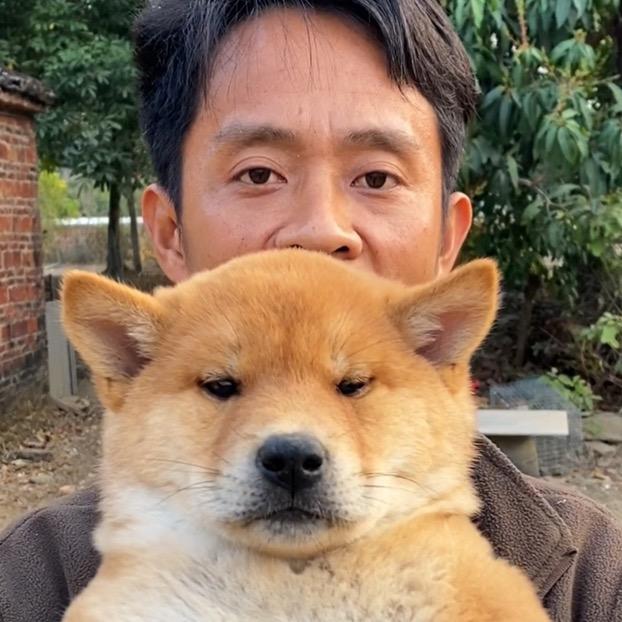 狗弟猫兄
