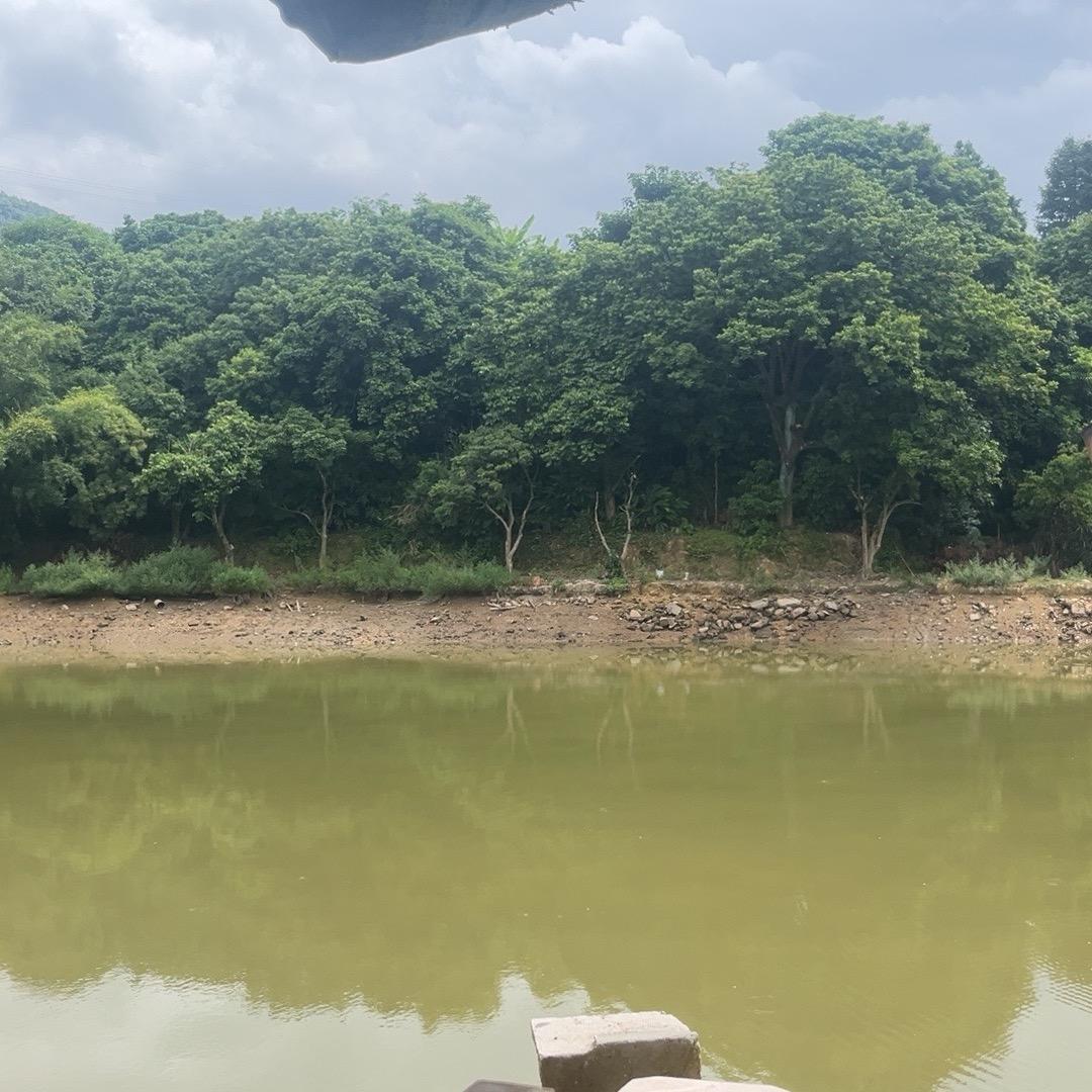 甘蔗灵峰休闲钓场