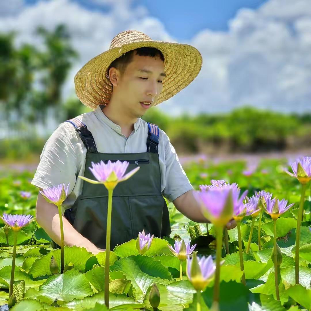 丸蔻