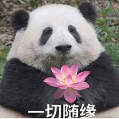 小元宝