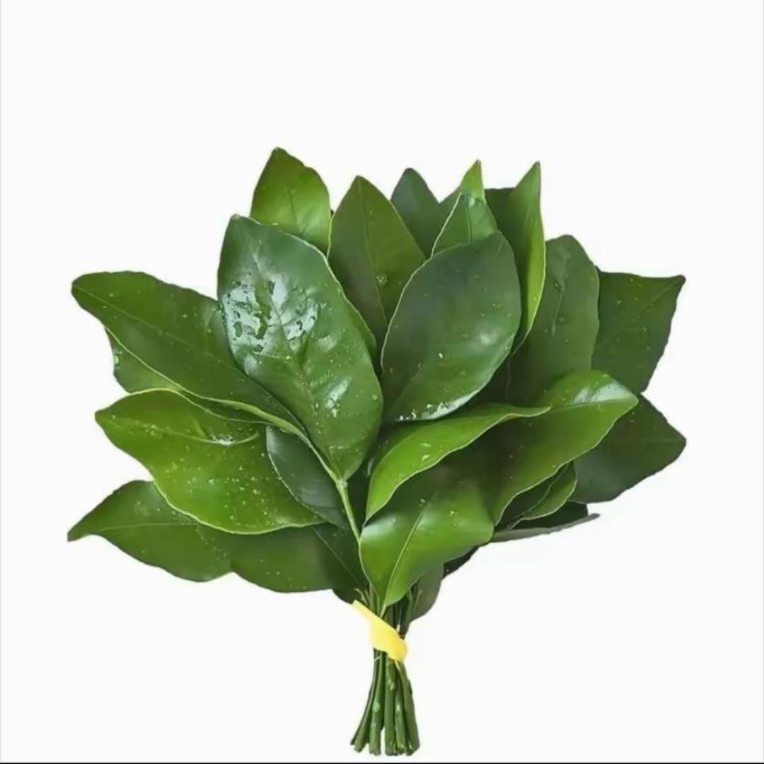 三级头