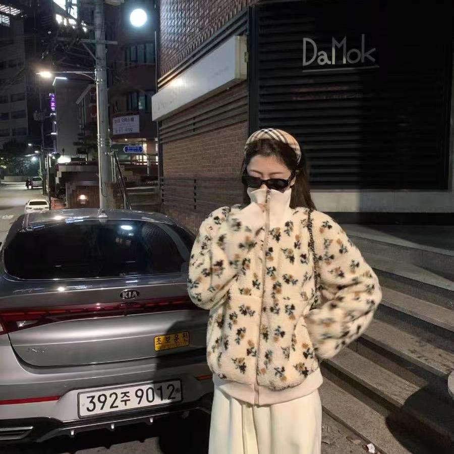 清欢渡