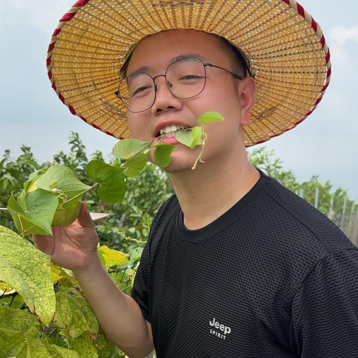 大脸东(芭乐季)