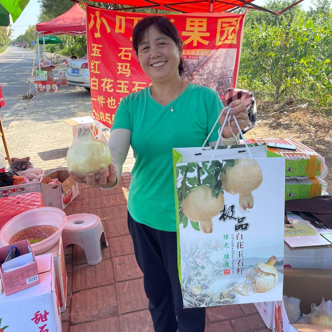 怀远禹榴乡石榴采摘园