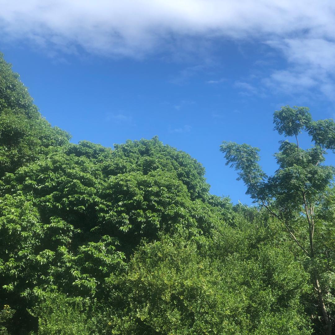 佛的回眸