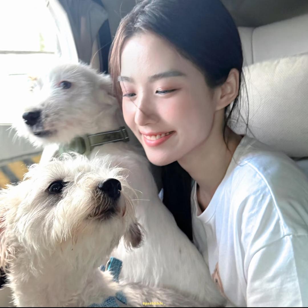 小熊吹奶盖
