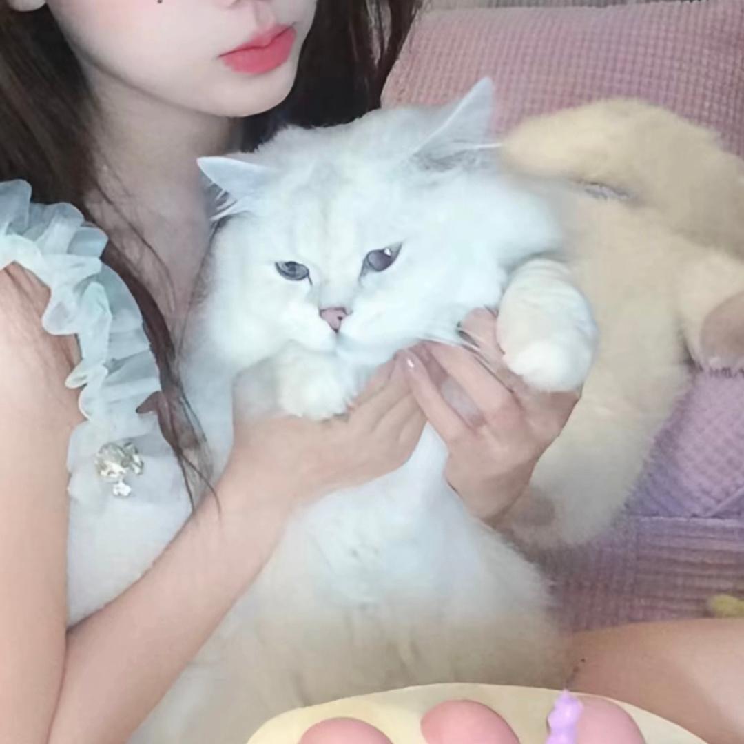 曜轩