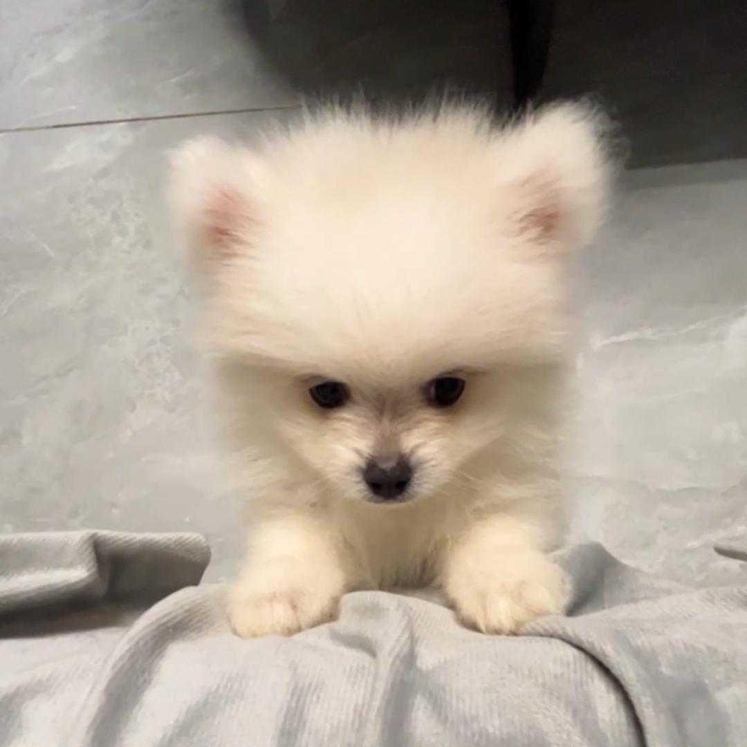 明天见໊ོ༊