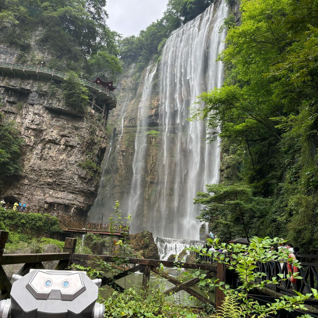 🌱原来是阚阚吖☁