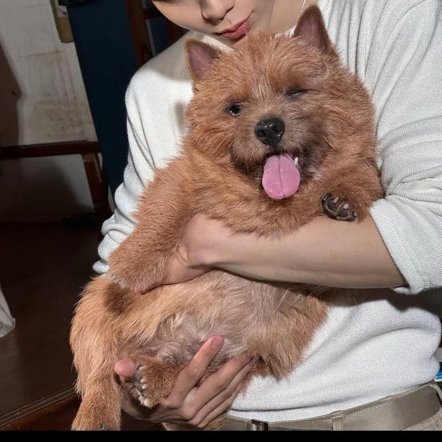 🐾