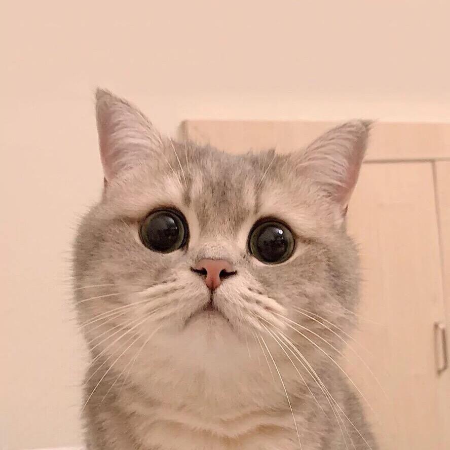 深情。