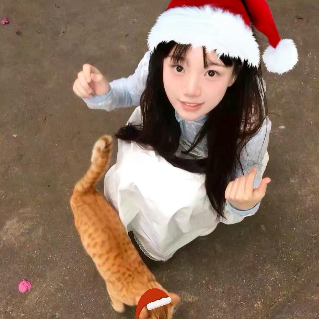 ㅤㅤㅤ ㅤㅤㅤㅤㅤㅤ