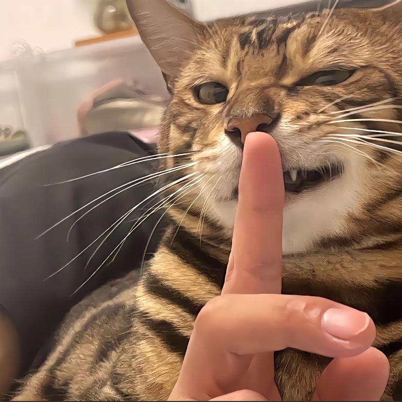 农夫三拳