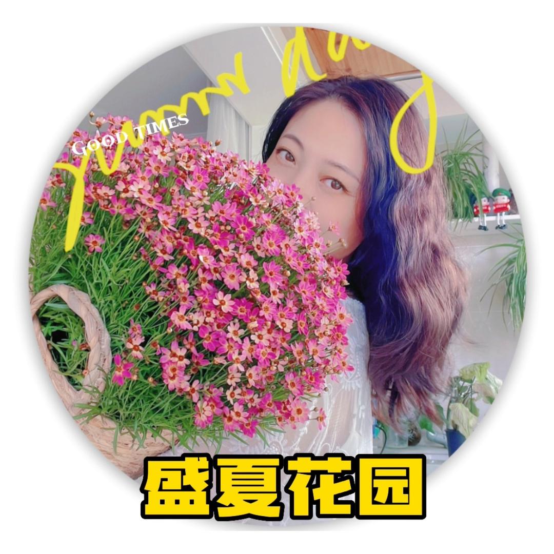 盛夏🌸花园