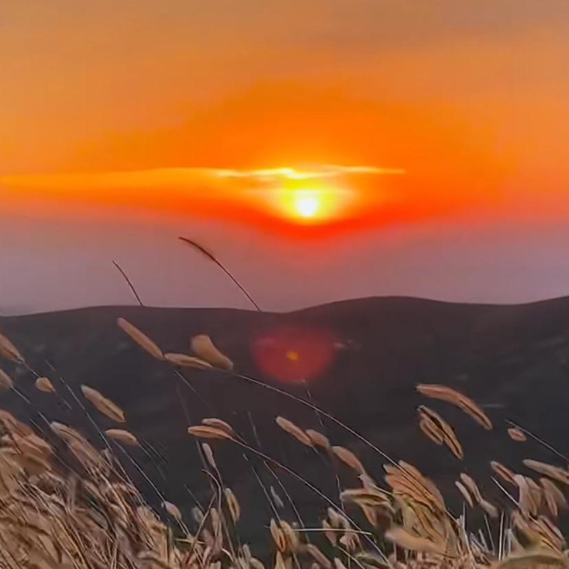 ☀️阿强