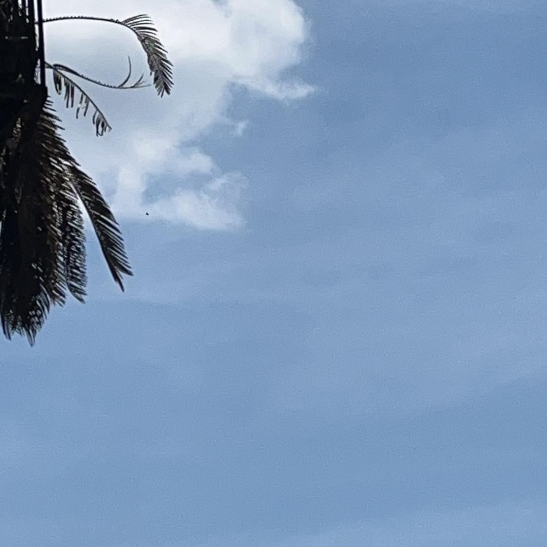 围幕点播影院