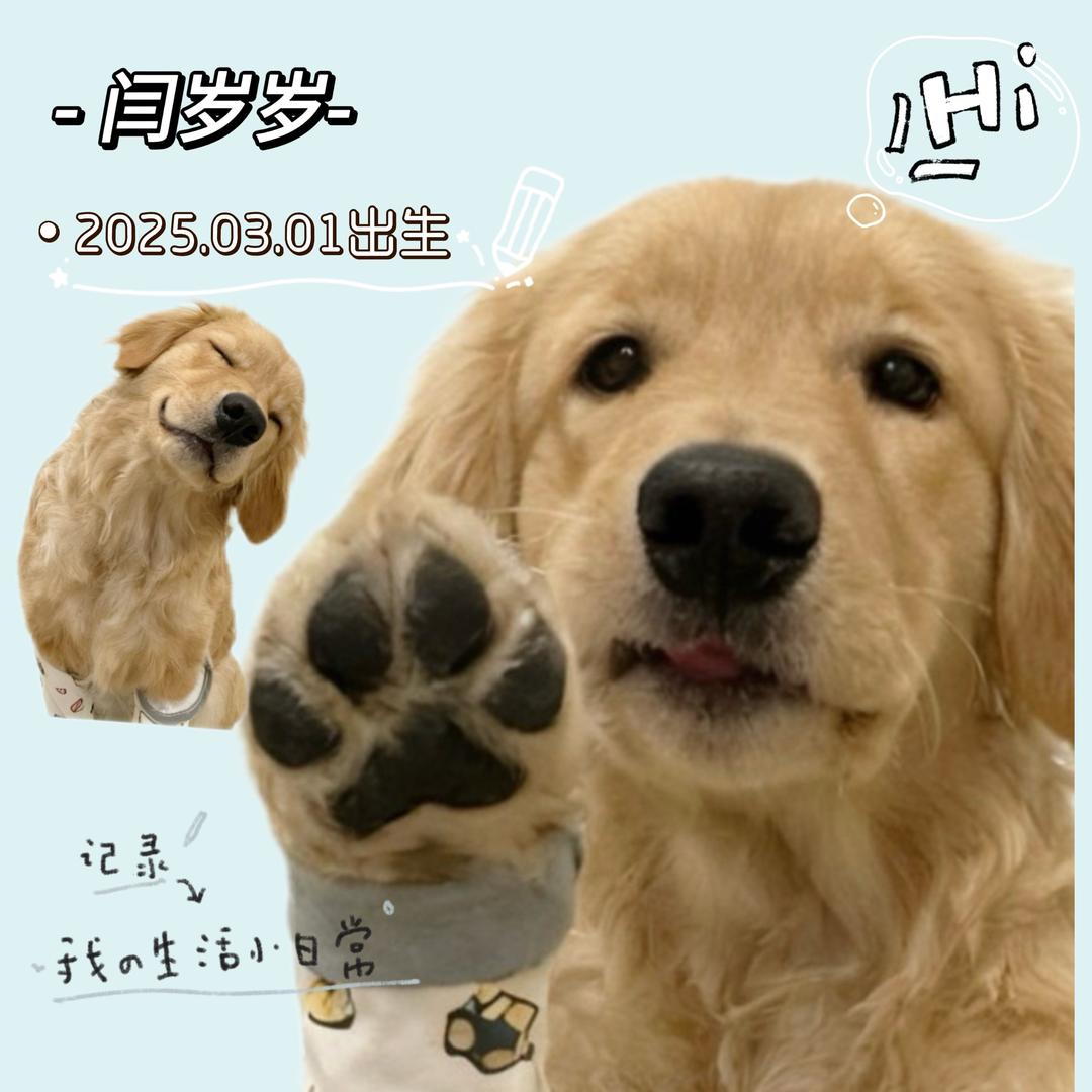 闫岁岁的小斗生（狗穗儿）