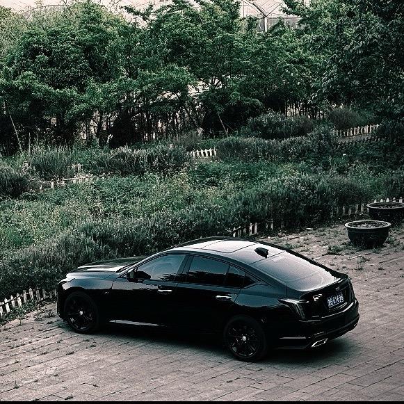 凡人百年 爱是秩序化的一瞬