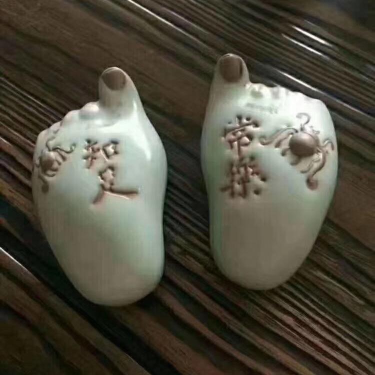 生命的翅膀