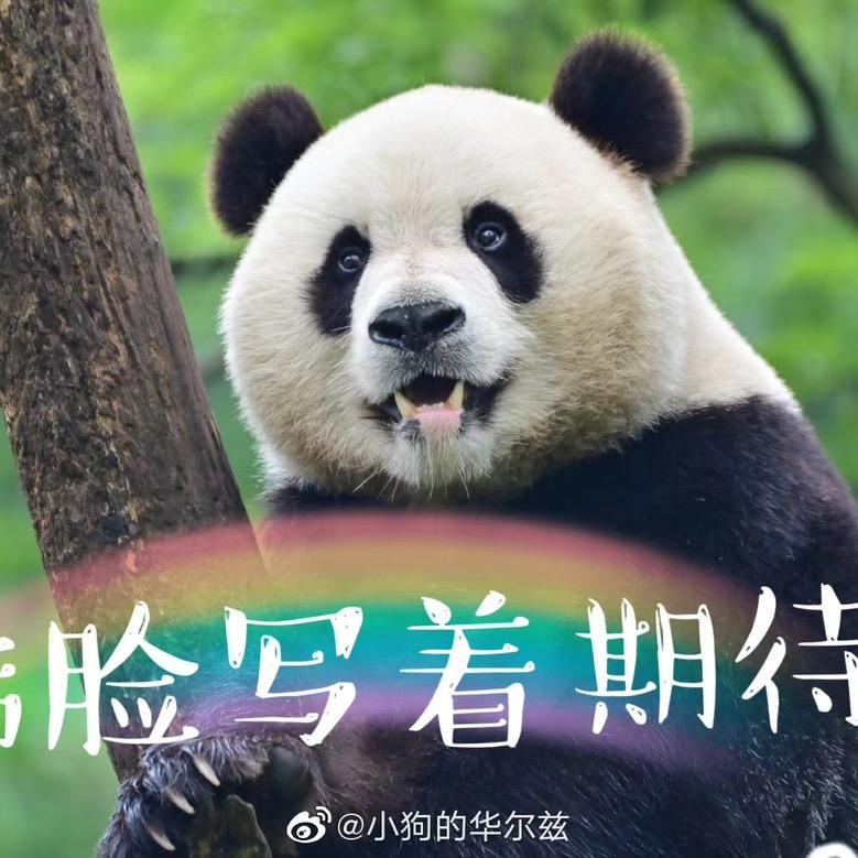 🌈涵咩咩＂